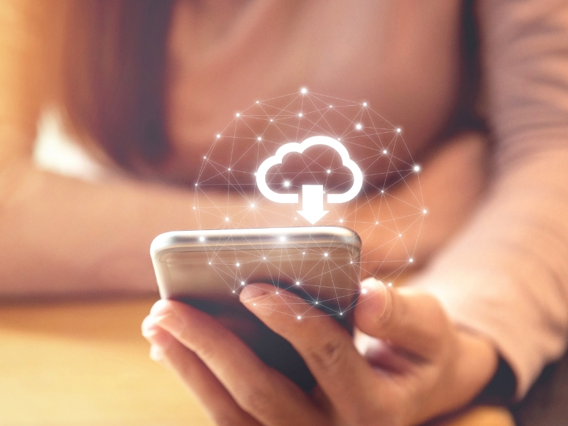 Inclusão e Gestão da Rede Própria ou Terceirização de Rede